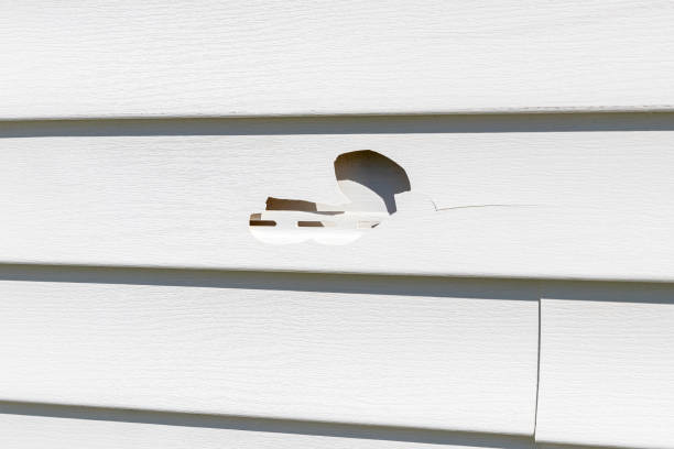 Affordable siding repair and maintenance services in Tamaqua, PA