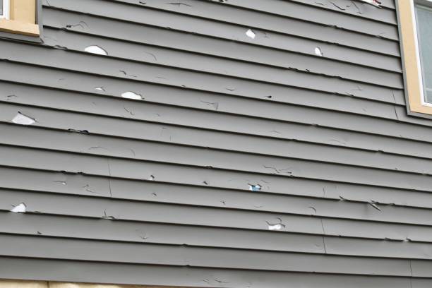 Best Custom Siding Design  in Tamaqua, PA